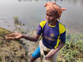 કંગસાબતી નદીમાં માછલી ને આઝાદીની શોધ