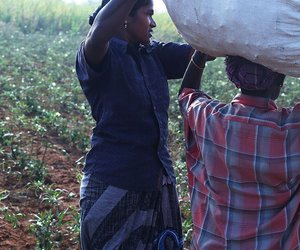 Chandra loads the sack of vegetables on the helper’s head