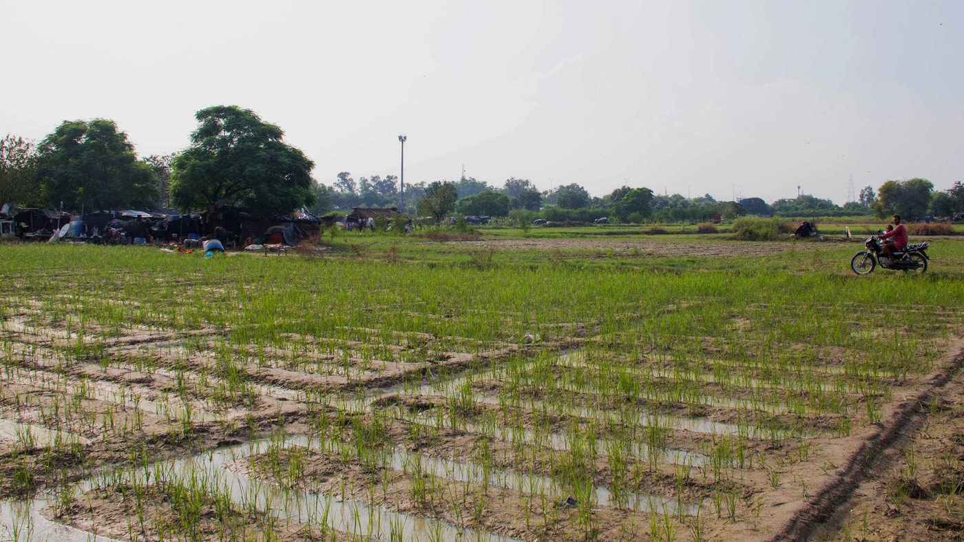 Big City, Small Farmers, And A Dying River