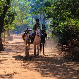 The keepers of the 460 horses of this hill station in Maharashtra’s Raigad district walk or run upto 25 kilometres uphill every day through Matheran’s dusty soil, with horse-borne tourists