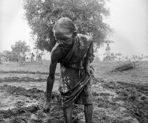 old women working in the field