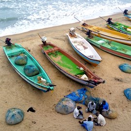 Men playing cards near the shore