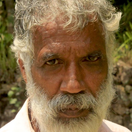 RAJU K.R is a Collects and sells medicinal plants from Thoppipala, Kattappana, Idukki, Kerala