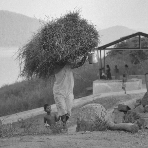 Woman with load of firewood on head being accompanied by child 