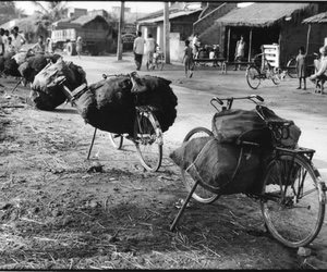 Parked cycles laden with coal propped on metal rod or wooden stick